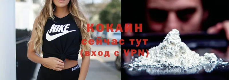 цена   Лосино-Петровский  Cocaine VHQ 